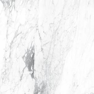 Гранитогрес Incanto Paonazzetto Glossy Rettificato - Aveceramica
