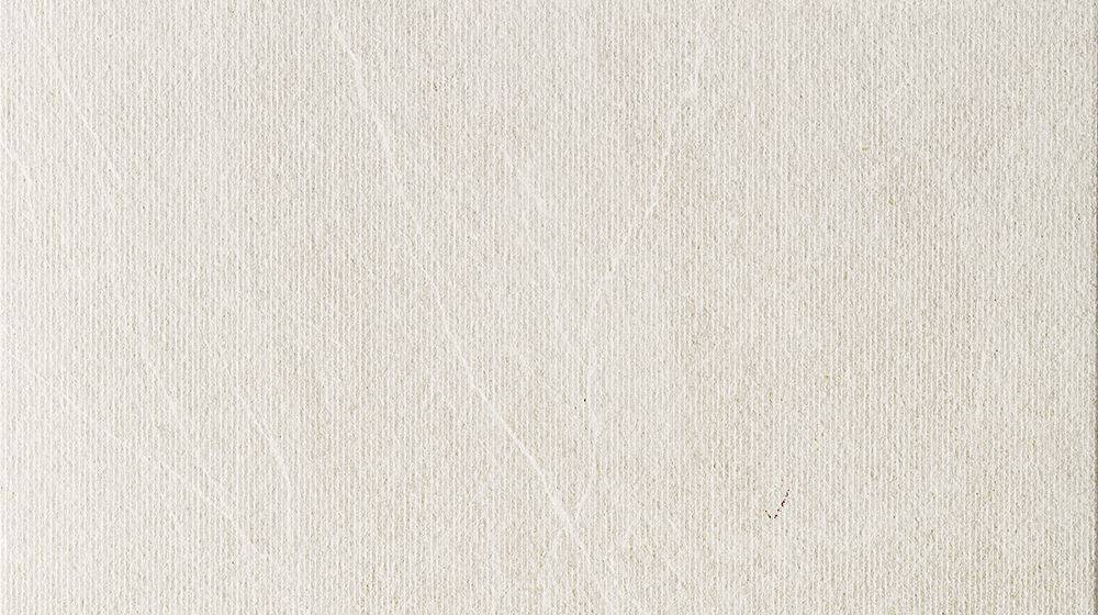 Гранитогрес Next White Line 30х60 см - Aveceramica