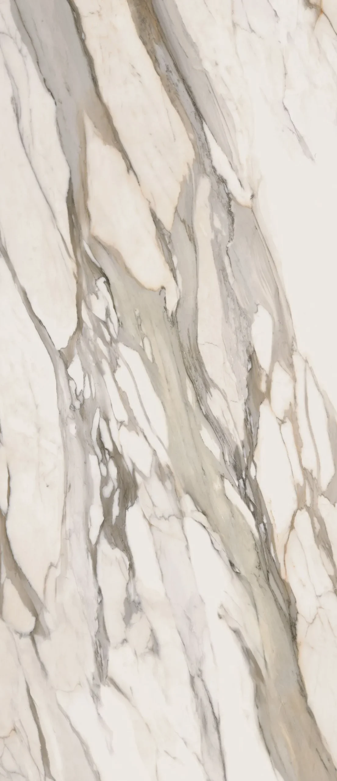 Гранитогрес Calacatta Gold 160х320см - Aveceramica