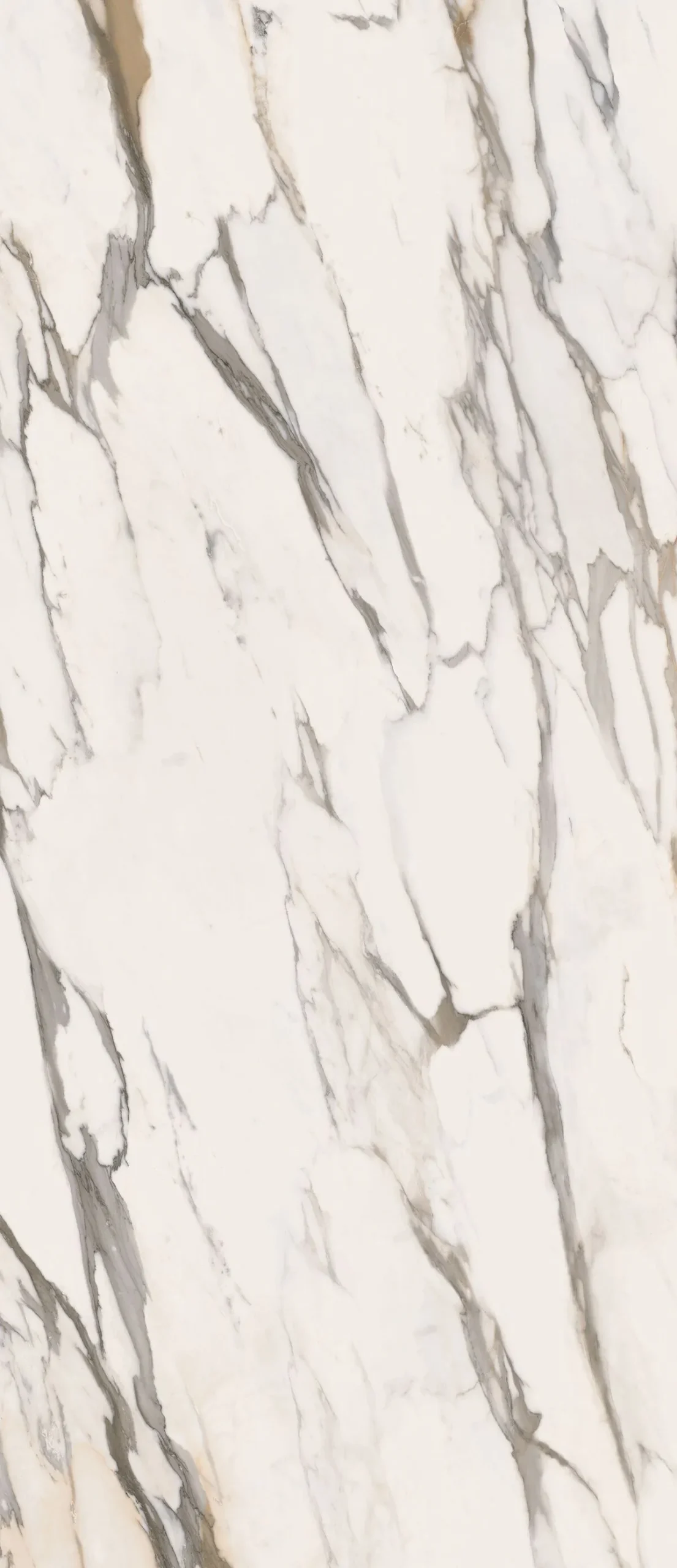 Гранитогрес Calacatta Gold Glossy Ret 60х120см - Aveceramica