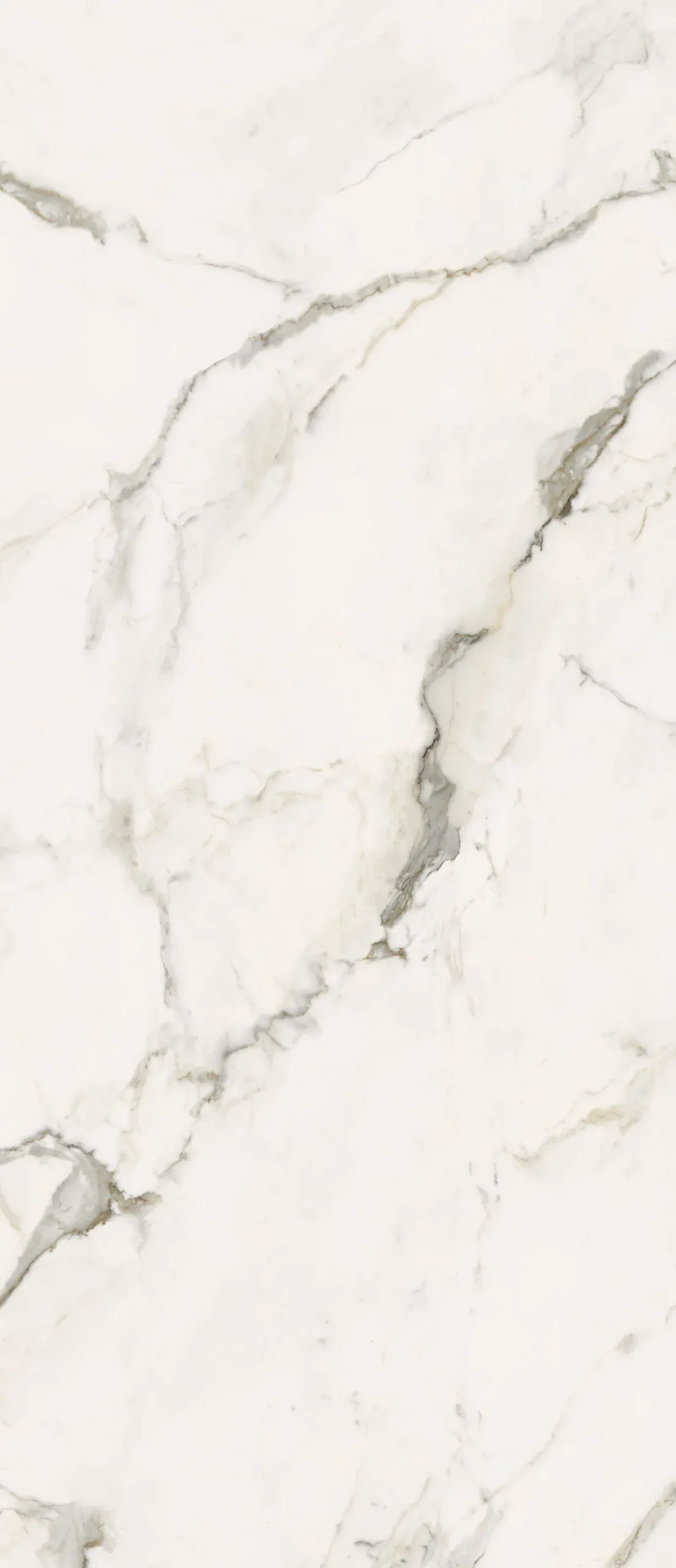 Гранитогрес Calacatta Light Glossy 120х278см - Aveceramica