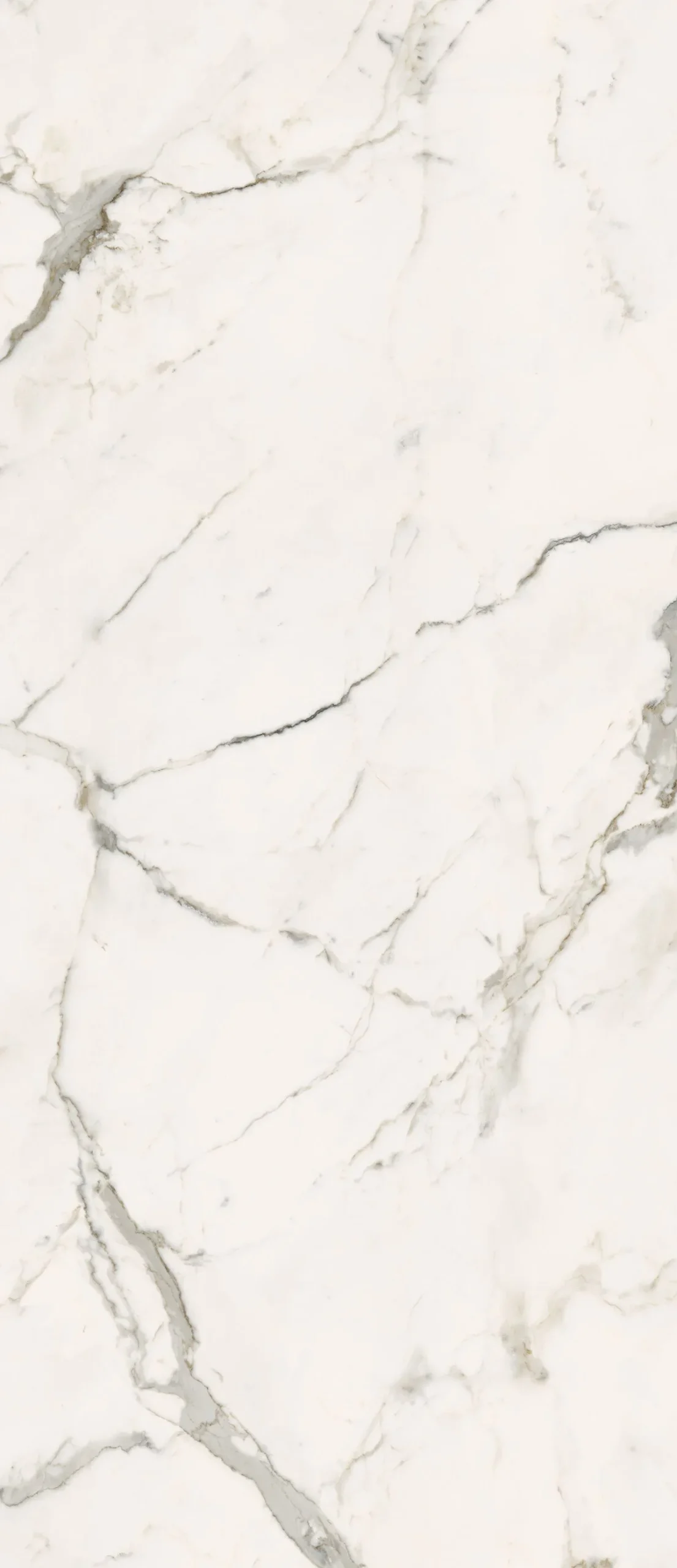 Гранитогрес Calacatta Light Honed Ret 120х278см - Aveceramica
