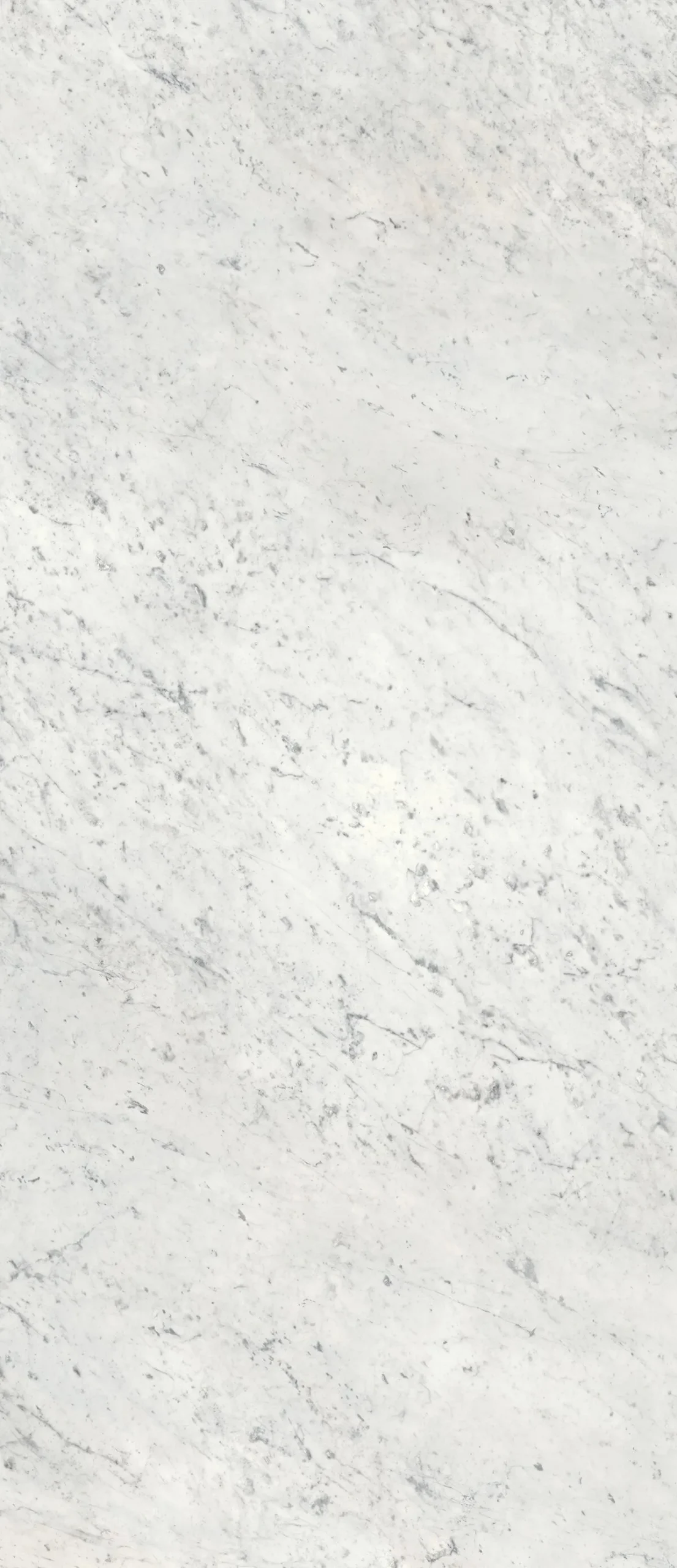Гранитогрес Carrara C Glossy 120х278см - Aveceramica
