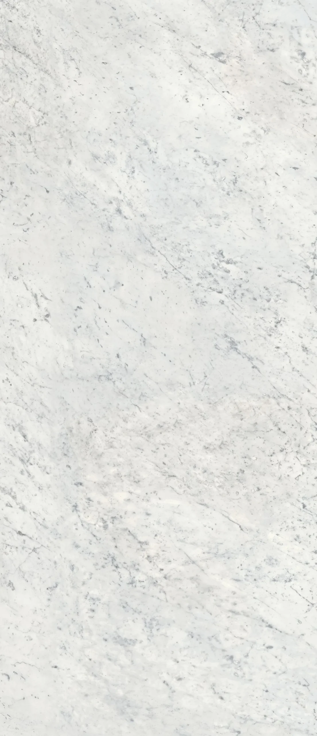 Гранитогрес Carrara C 160х320см - Aveceramica