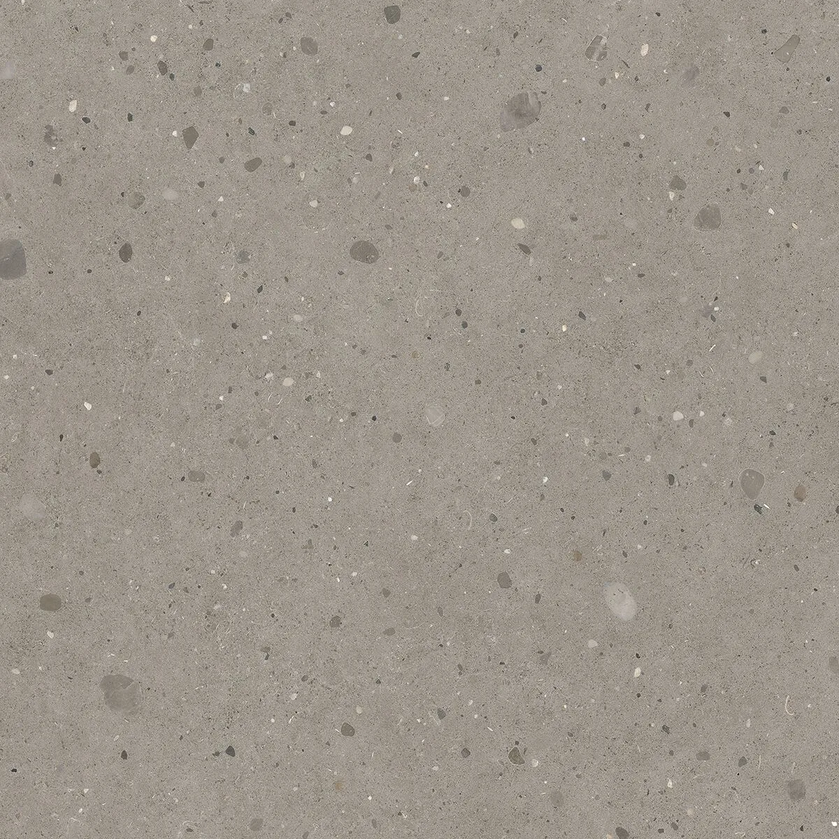 Гранитогрес Keynote Cool Grey 120х120см - Aveceramica