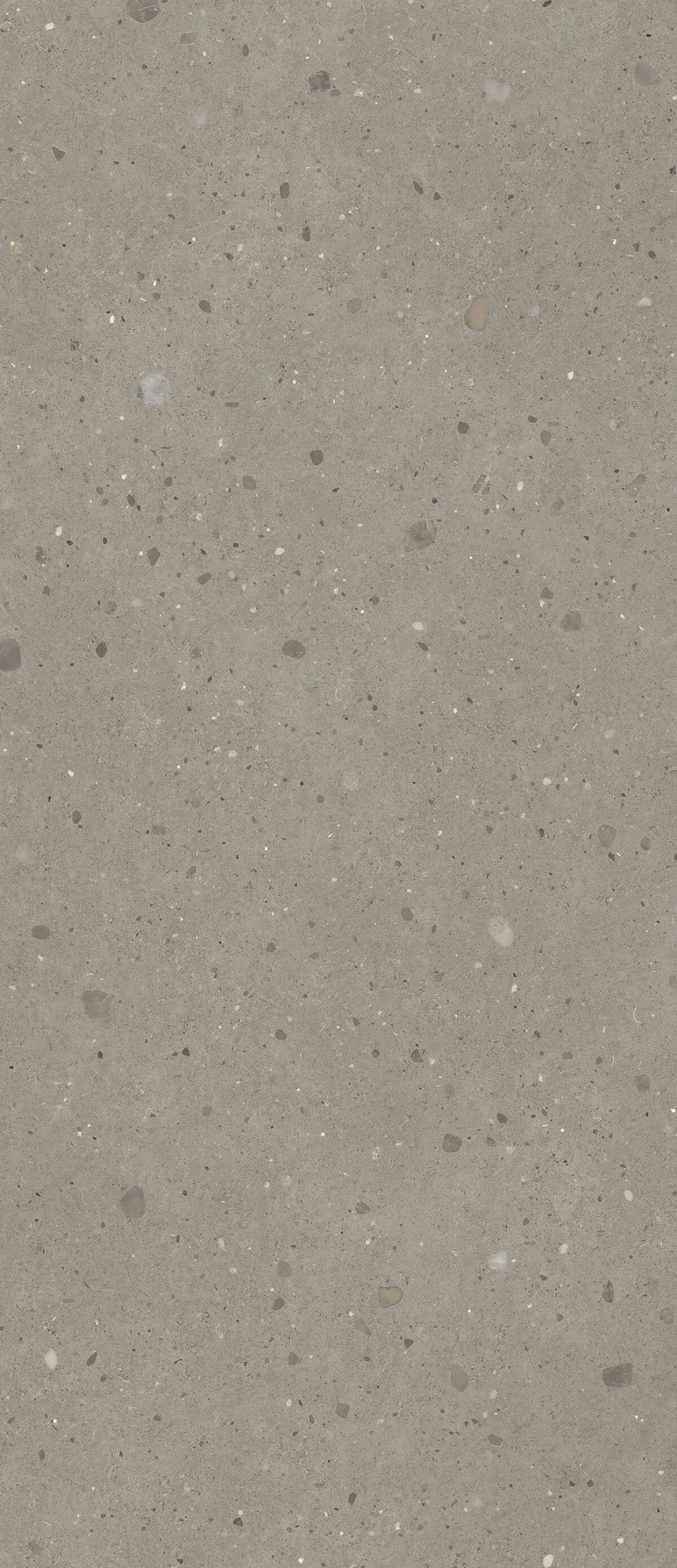 Гранитогрес Keynote Cool Grey 120х278см - Aveceramica