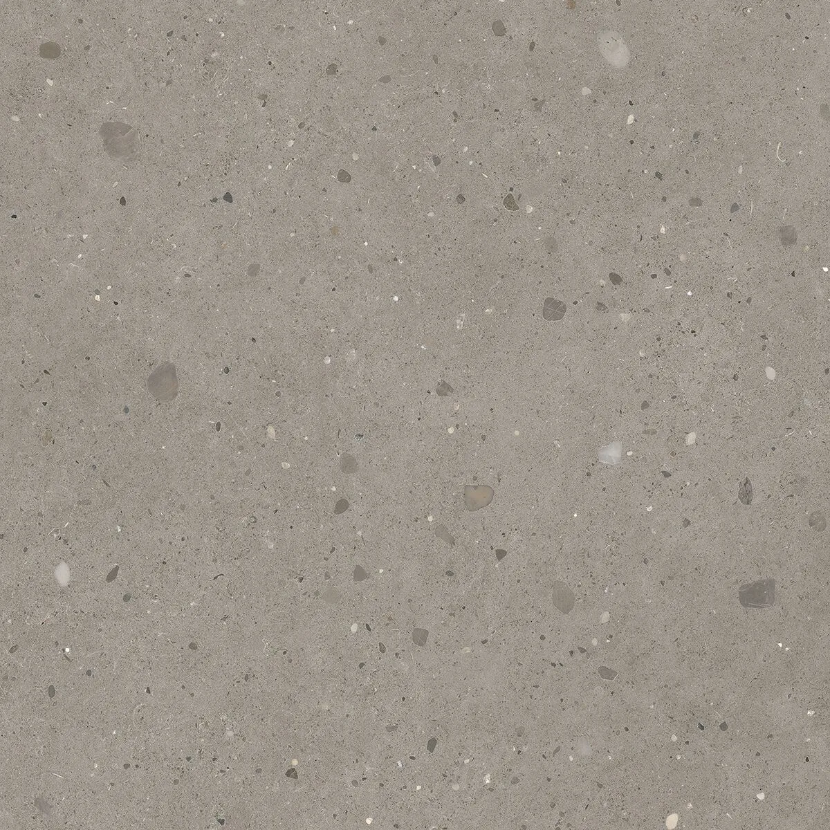 Гранитогрес Keynote Cool Grey 80х80см - Aveceramica