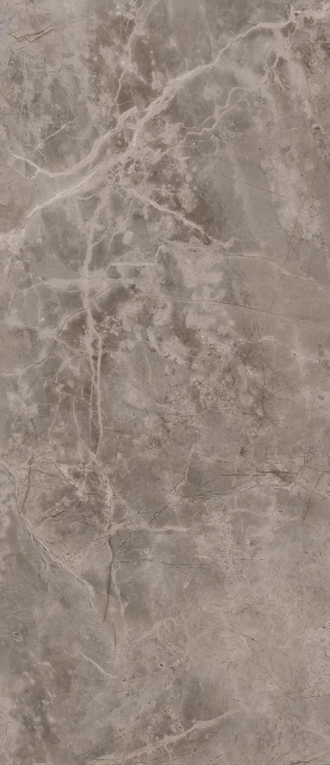 Гранитогрес Fior di Bosco 160х320см - Aveceramica