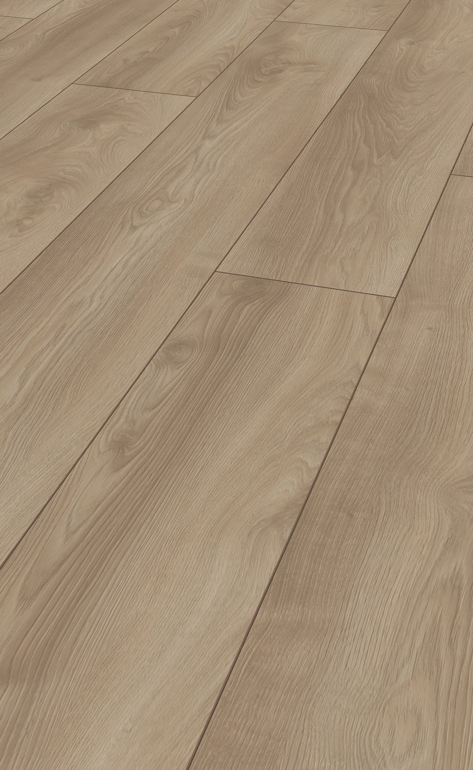 Ламинат Makro Oak Light 1,845х24,4см - Shop -  AVE Ceramica